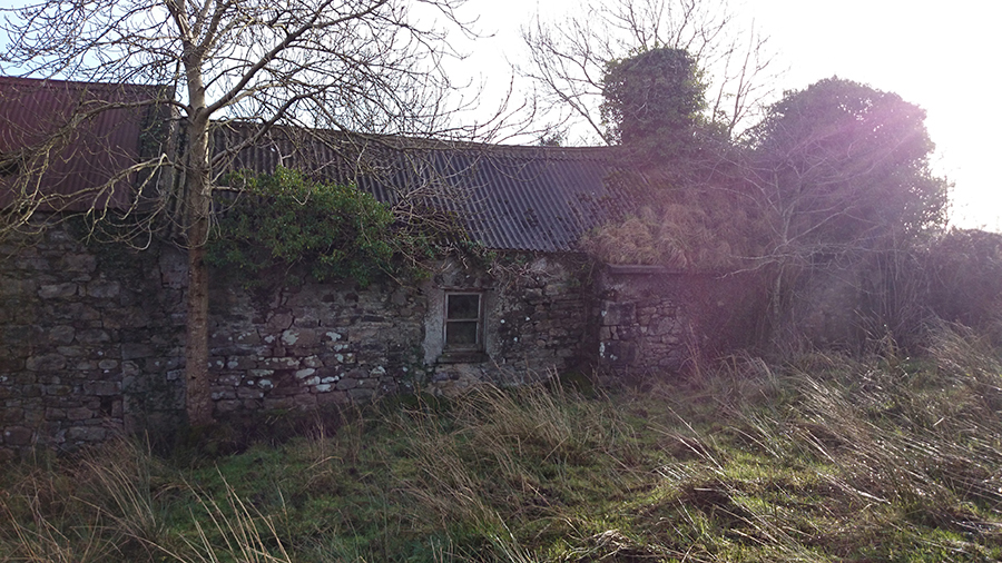 rear of cottage